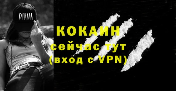 хмурый Белоозёрский
