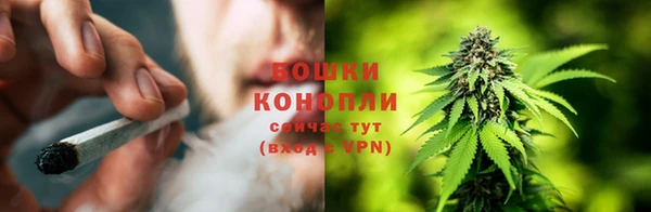 экстази Белокуриха