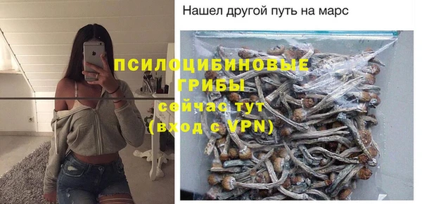 хмурый Белоозёрский