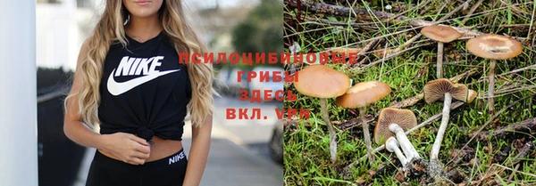 экстази Белокуриха