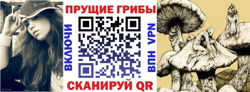 Псилоцибиновые грибы Psilocybe  omg зеркало  Коммунар 